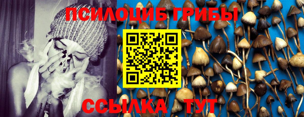 Галлюциногенные грибы мицелий  Вход с VPN  Обь 